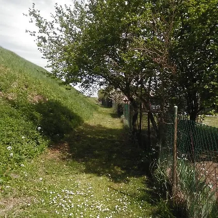 Mosaicasa * Alfonsine