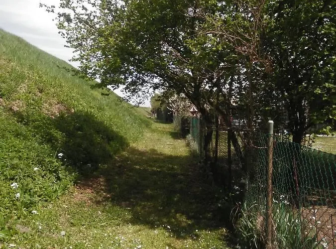 Mosaicasa * Alfonsine